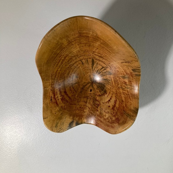 Tamarine Wood Bowl‎ Wall Art 7 x 9